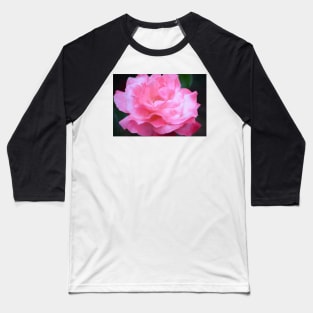 Rose 384 Baseball T-Shirt